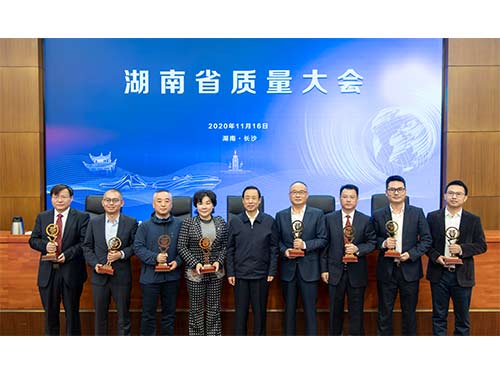 20201116-董事長(cháng)王五星接受第六屆湖南省省長(cháng)質(zhì)量獎提名獎頒獎